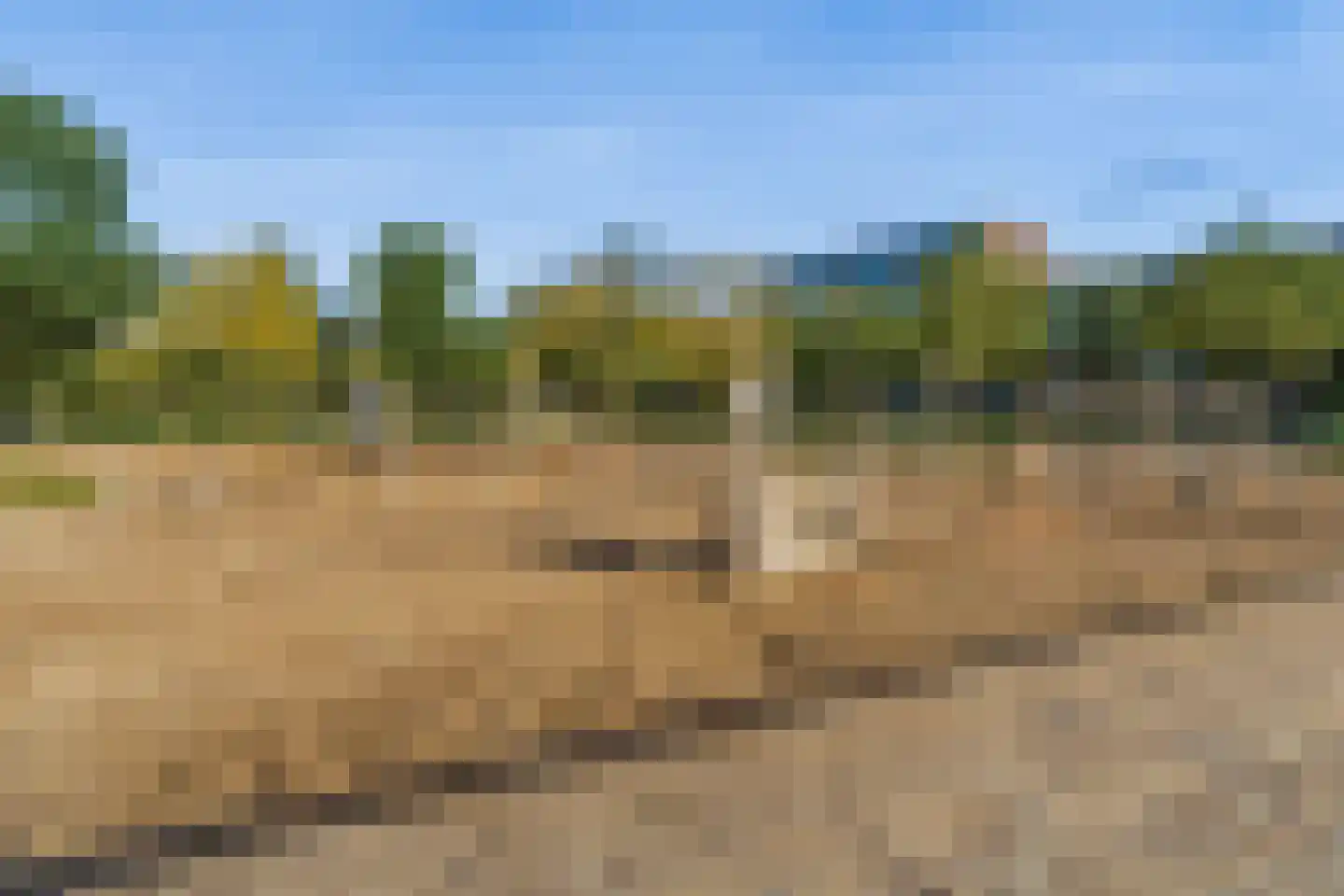 Eva Besnyöstraat 393 Amsterdam thumbnail 48