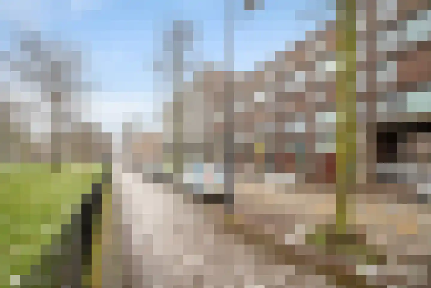 Eva Besnyöstraat 413 Amsterdam thumbnail 25