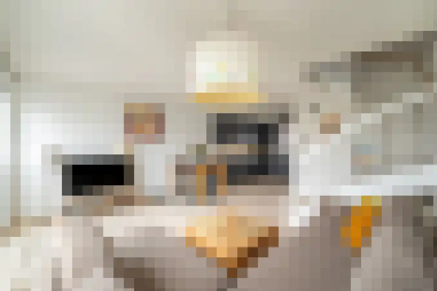 Eva Besnyöstraat 413 Amsterdam thumbnail 9