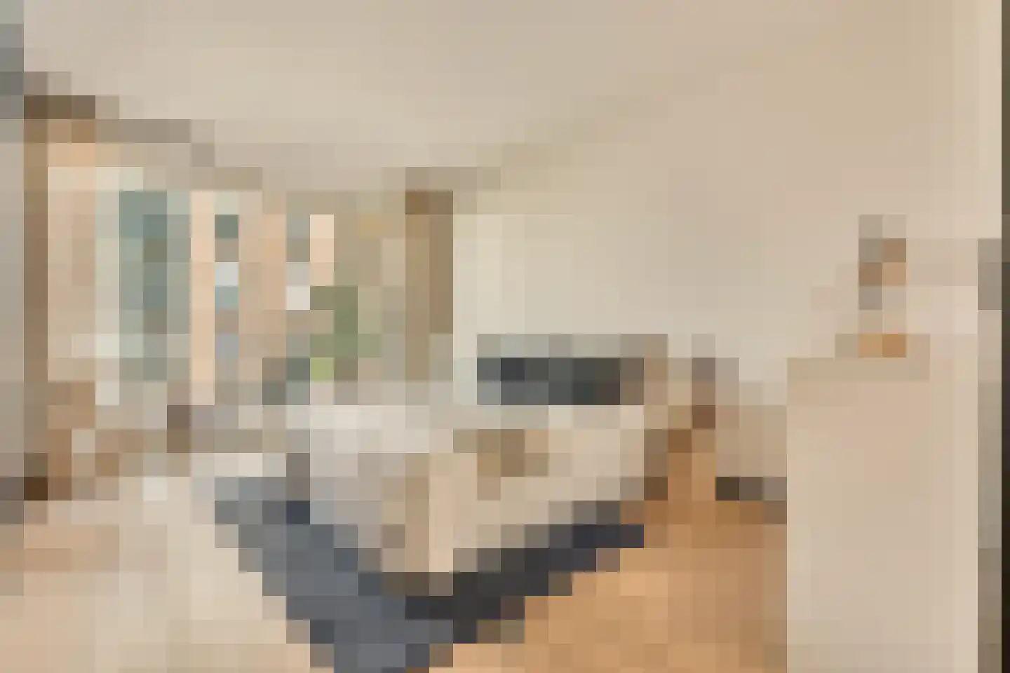 Eva Besnyöstraat 69 Amsterdam thumbnail 16