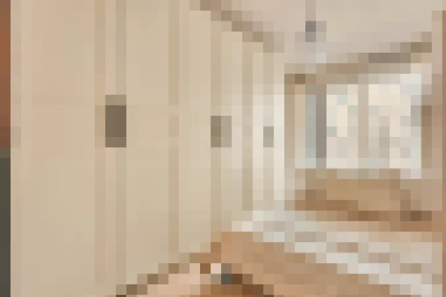 Eva Besnyöstraat 69 Amsterdam thumbnail 18