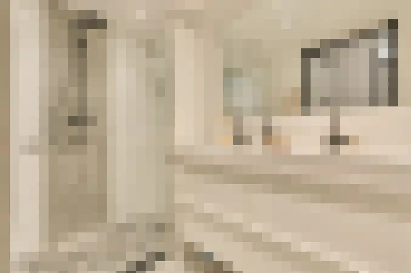 Eva Besnyöstraat 69 Amsterdam thumbnail 22