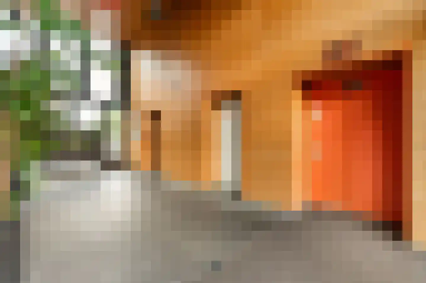 Eva Besnyöstraat 69 Amsterdam thumbnail 26