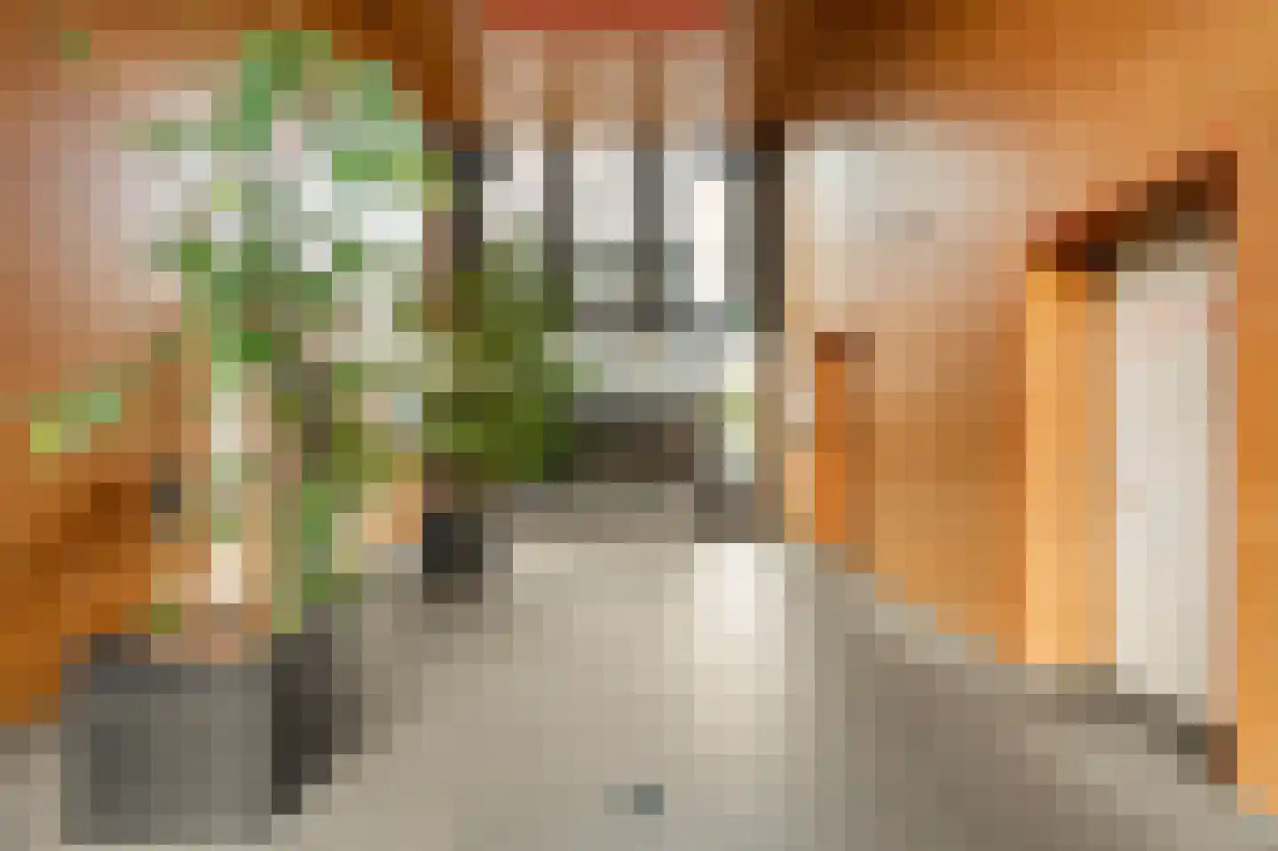Eva Besnyöstraat 69 Amsterdam thumbnail 27