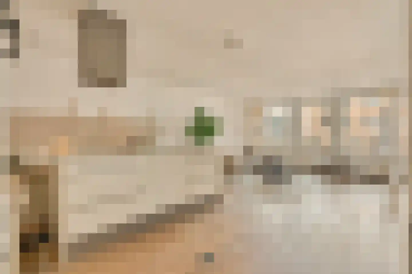 Eva Besnyöstraat 69 Amsterdam thumbnail 4