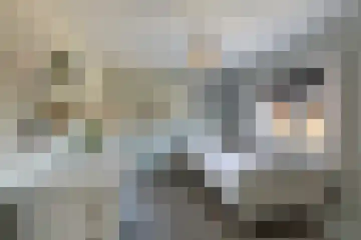Evekinkweg 19 Wekerom thumbnail 29