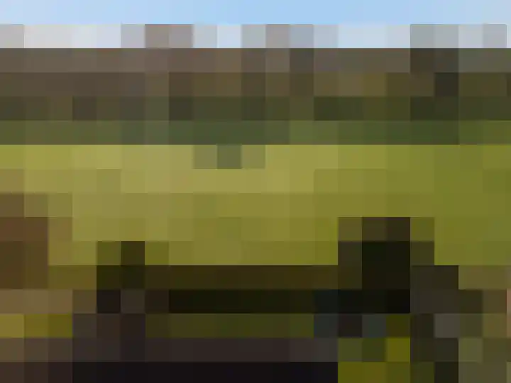 Evekinkweg 19 Wekerom thumbnail 42