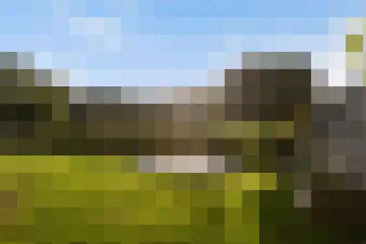 Evekinkweg 19 Wekerom thumbnail 50