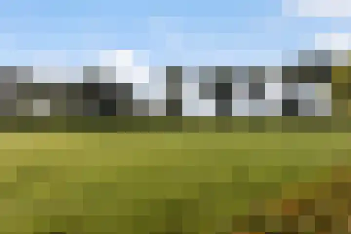 Evekinkweg 19 Wekerom thumbnail 51
