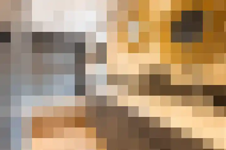 Evekinkweg 48 Wekerom thumbnail 22
