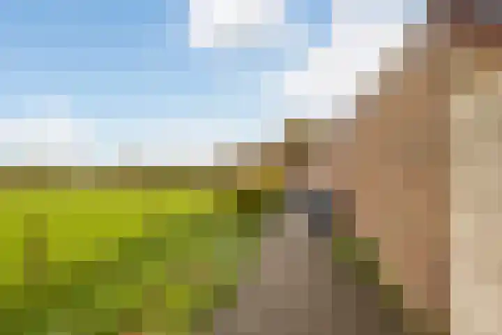 Evekinkweg 51 Wekerom thumbnail 18