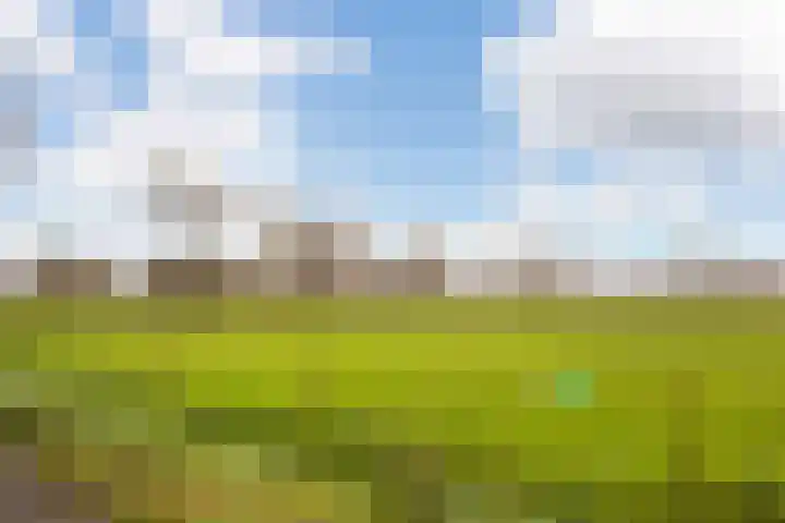 Evekinkweg 51 Wekerom thumbnail 19