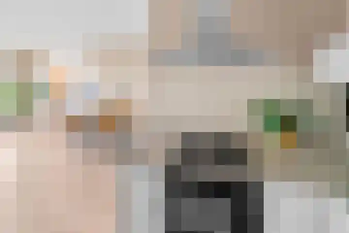 Evelindeflat 19 Roosendaal thumbnail 10