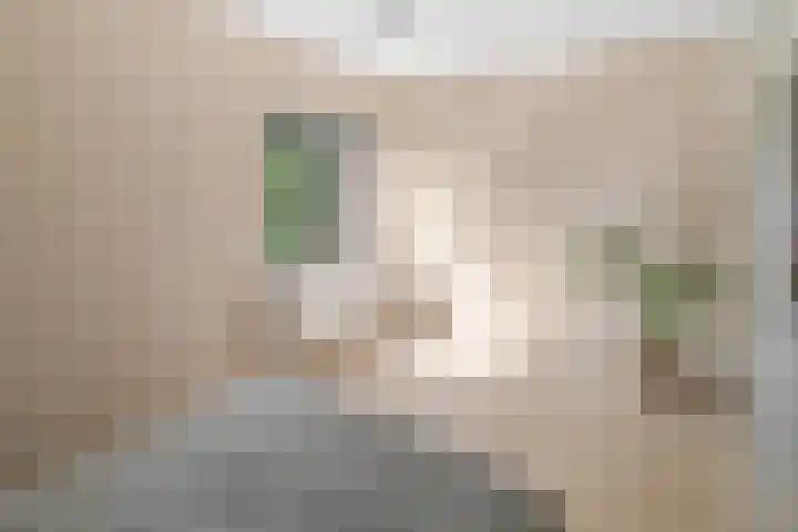 Evelindeflat 19 Roosendaal thumbnail 12