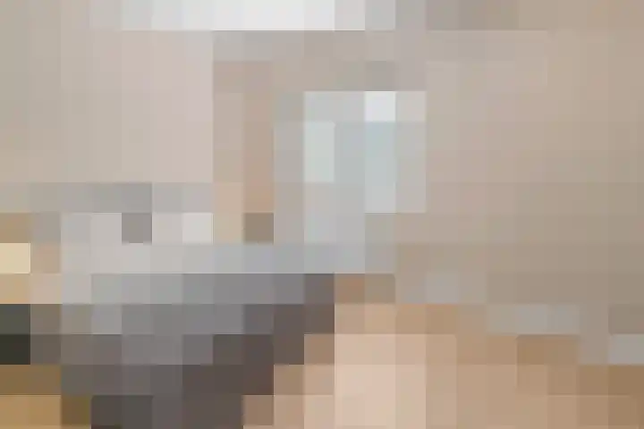 Evelindeflat 19 Roosendaal thumbnail 13