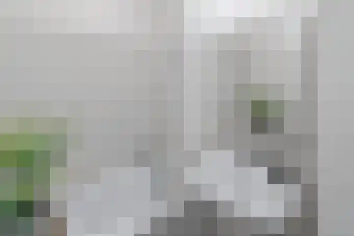 Evelindeflat 19 Roosendaal thumbnail 16