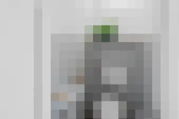 Evelindeflat 19 Roosendaal thumbnail 17
