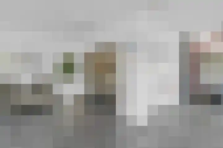 Evelindeflat 19 Roosendaal thumbnail 21