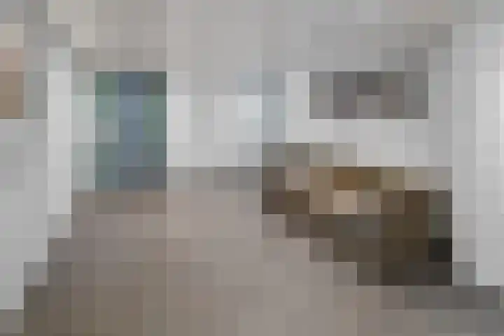 Evelindeflat 19 Roosendaal thumbnail 22