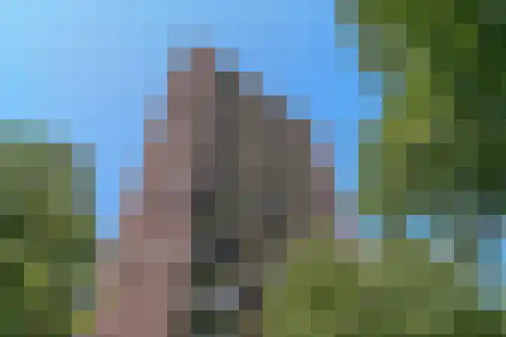 Evelindeflat 19 Roosendaal thumbnail 26