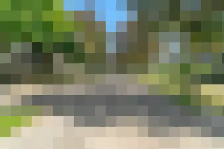 Evelindeflat 19 Roosendaal thumbnail 31