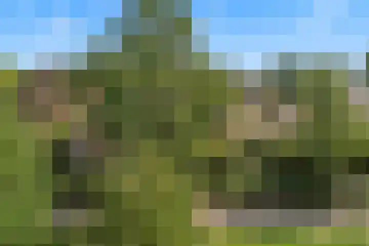 Evelindeflat 19 Roosendaal thumbnail 32
