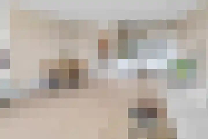 Evelindeflat 19 Roosendaal thumbnail 38