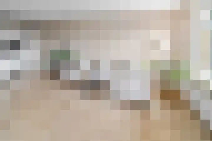 Evelindeflat 19 Roosendaal thumbnail 4