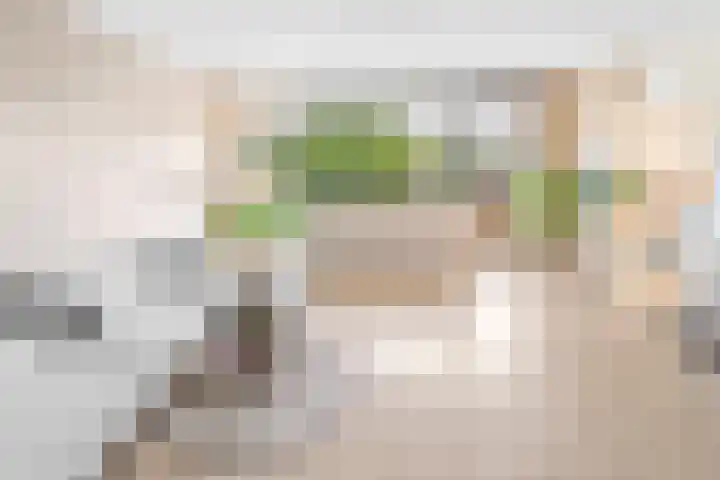 Evelindeflat 19 Roosendaal thumbnail 5