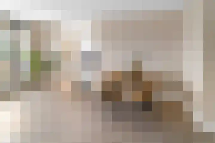 Evelindeflat 19 Roosendaal thumbnail 6