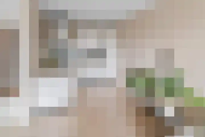 Evelindeflat 19 Roosendaal thumbnail 8