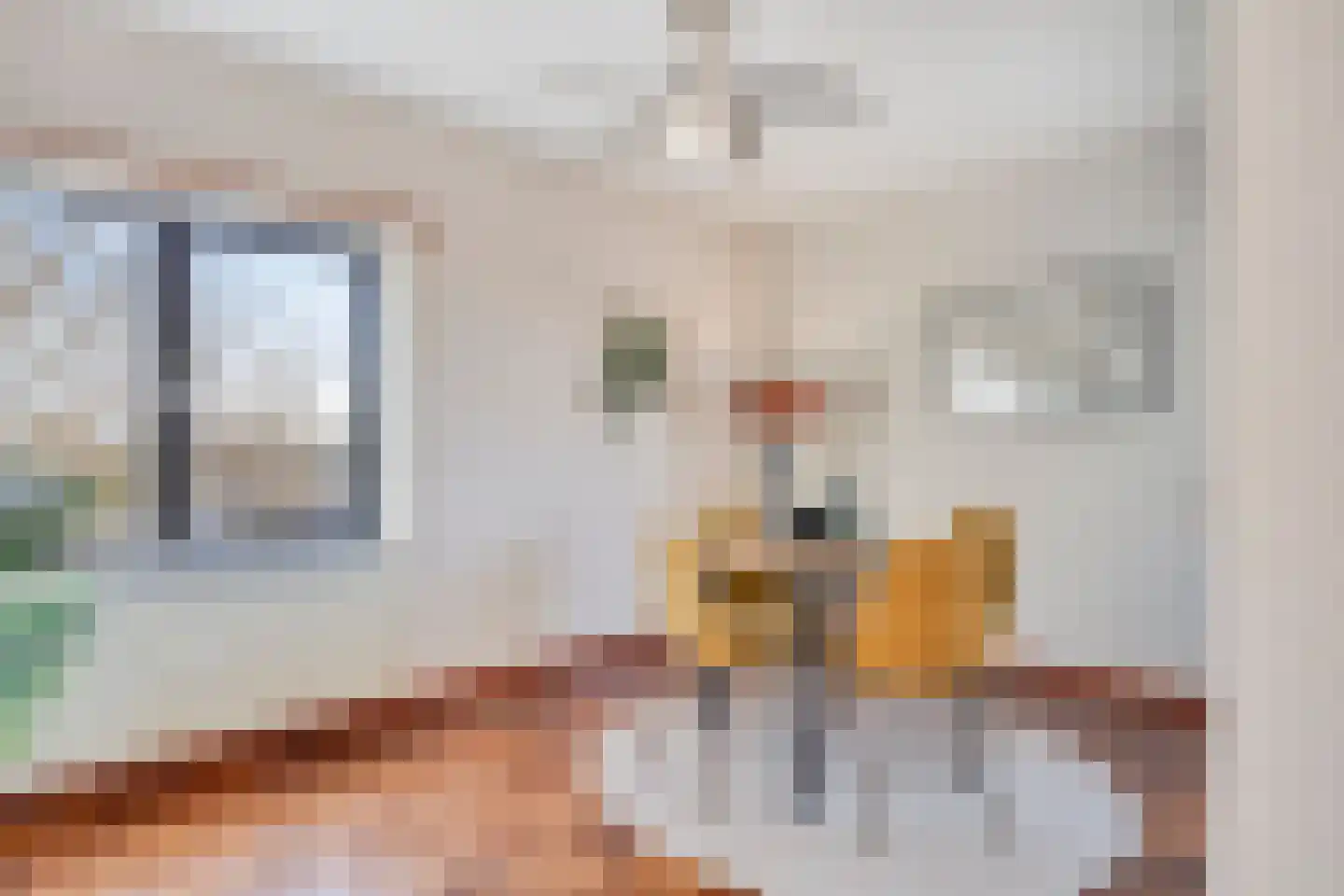 Evelindeflat 30 Roosendaal thumbnail 15