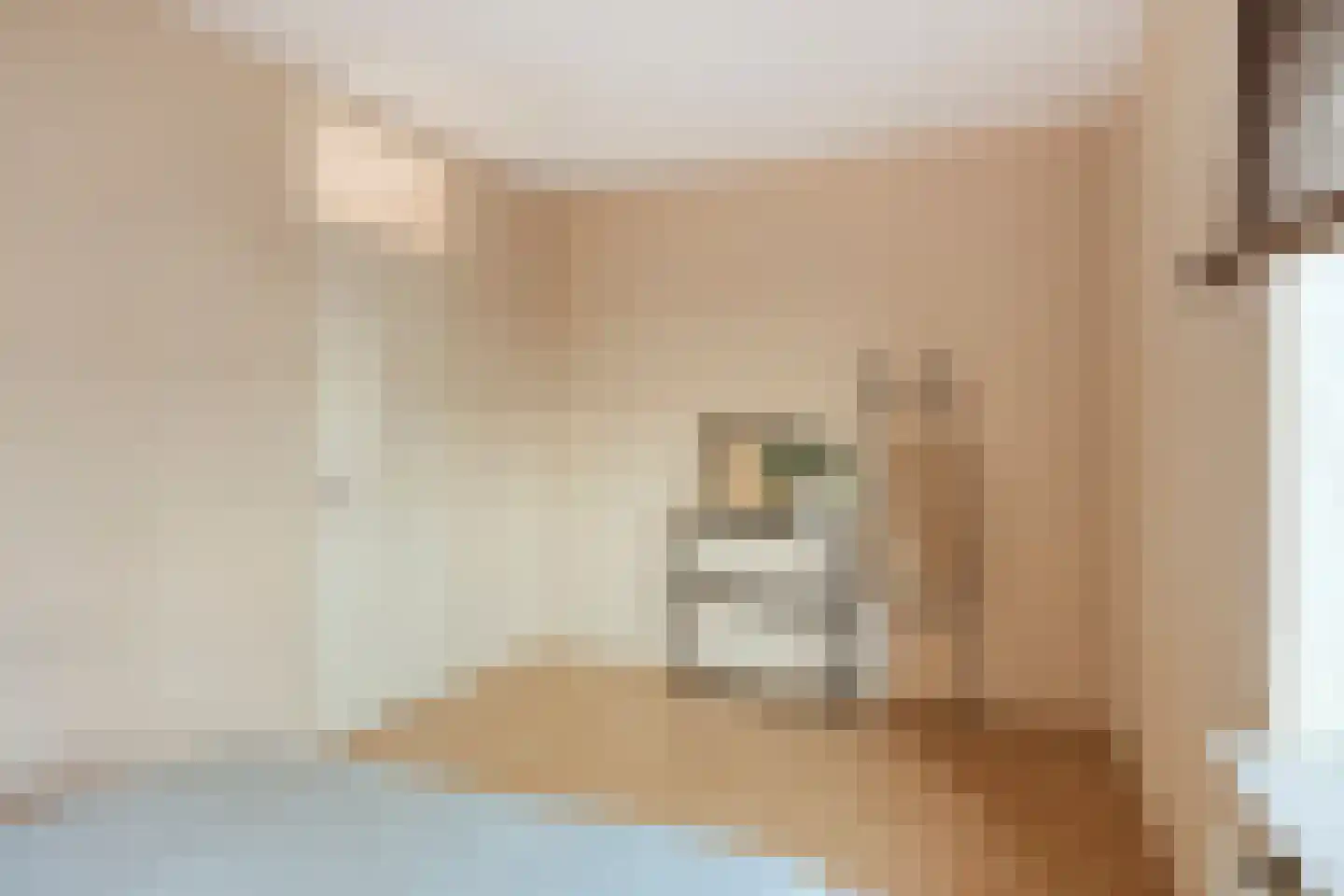Evelindeflat 30 Roosendaal thumbnail 27