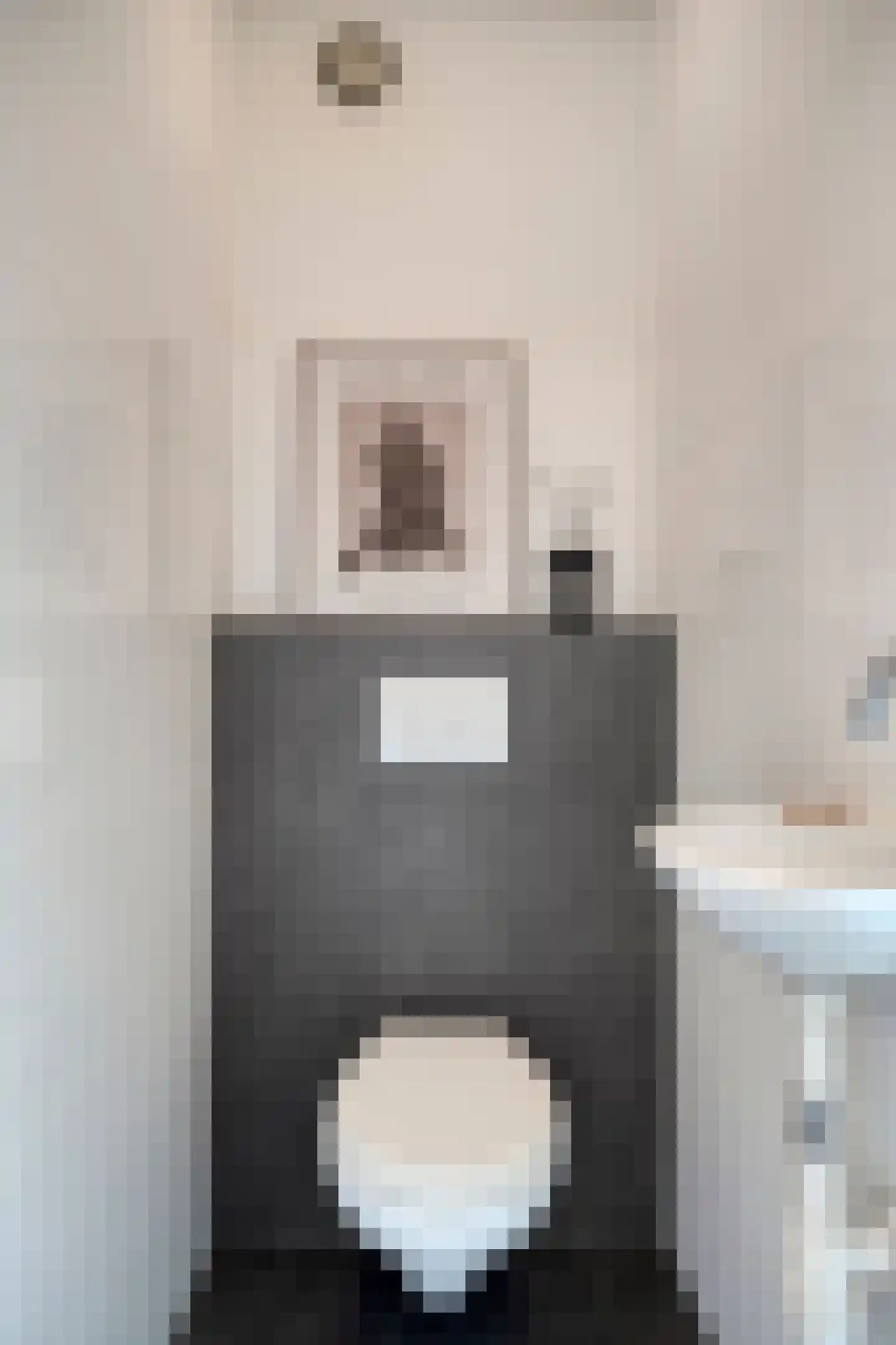 Evelindeflat 30 Roosendaal thumbnail 8
