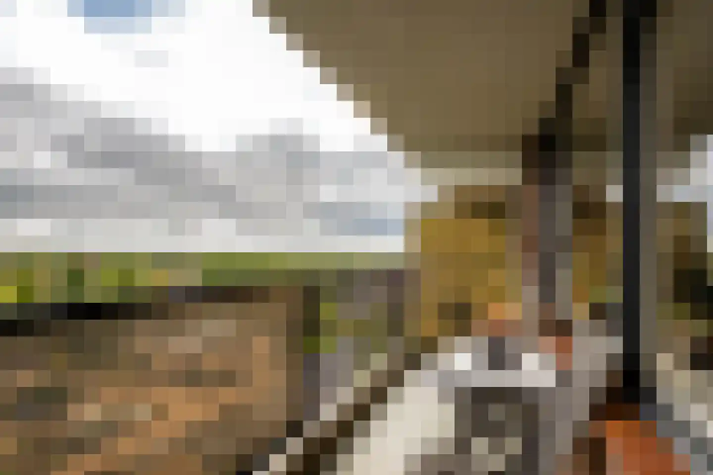 Evelindeflat 53 Roosendaal thumbnail 11