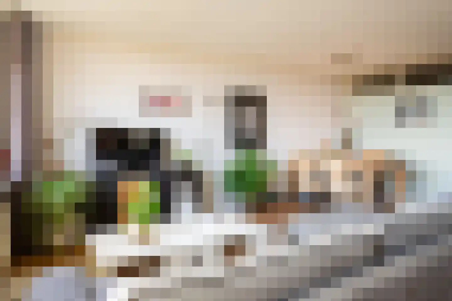 Evelindeflat 53 Roosendaal thumbnail 13