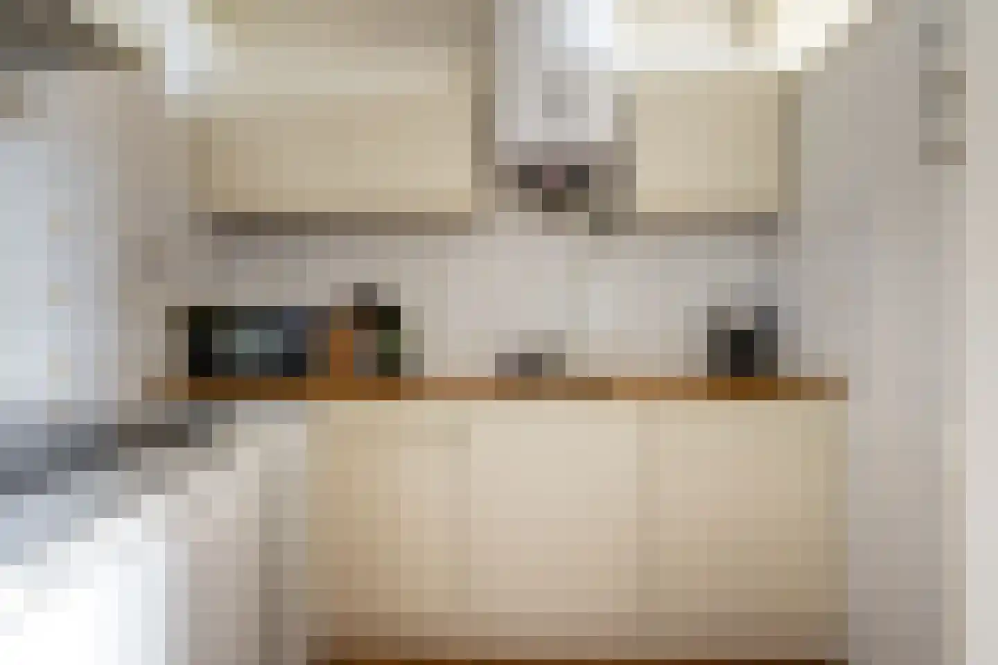 Evelindeflat 53 Roosendaal thumbnail 17