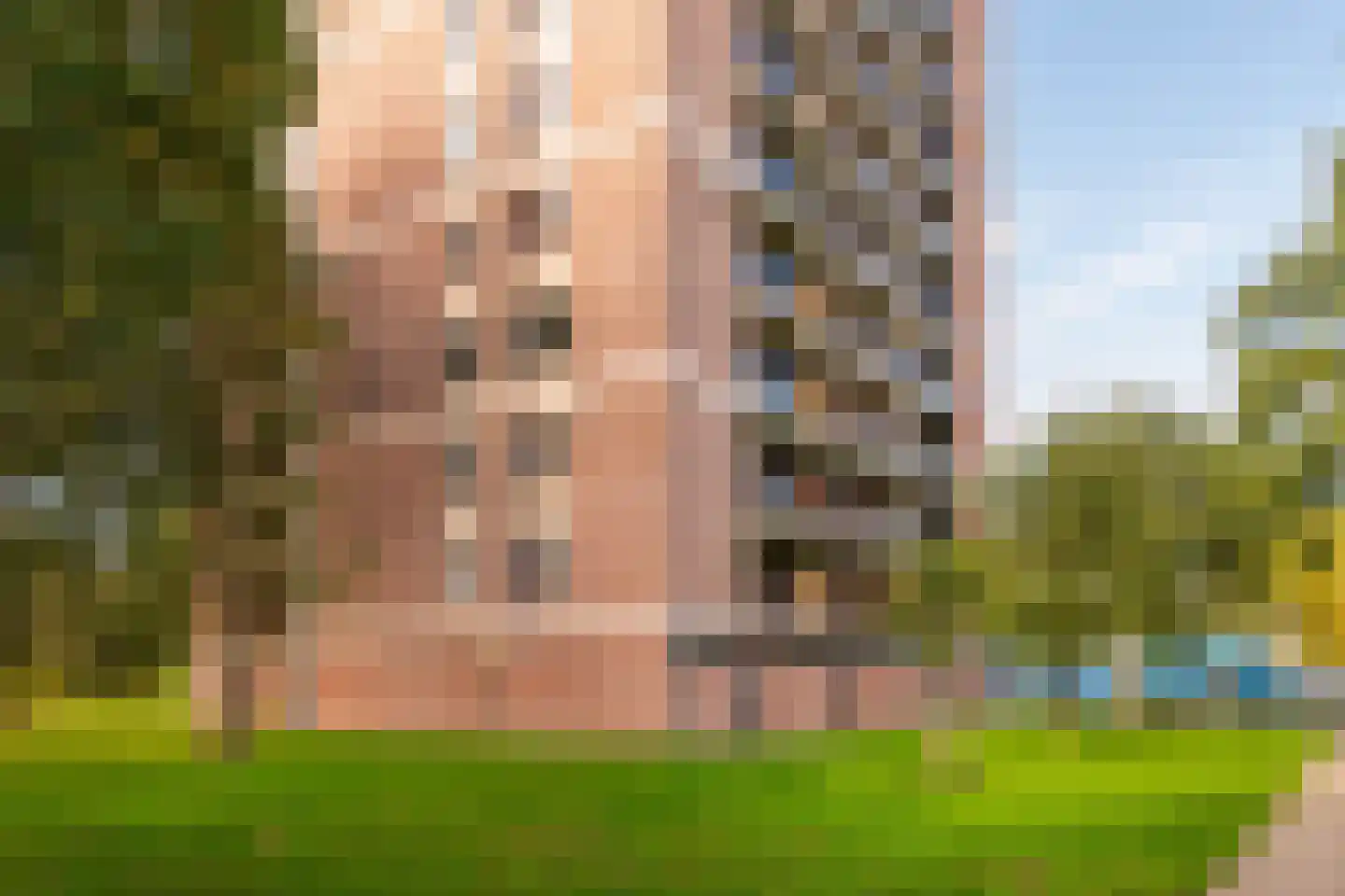 Evelindeflat 53 Roosendaal thumbnail 24