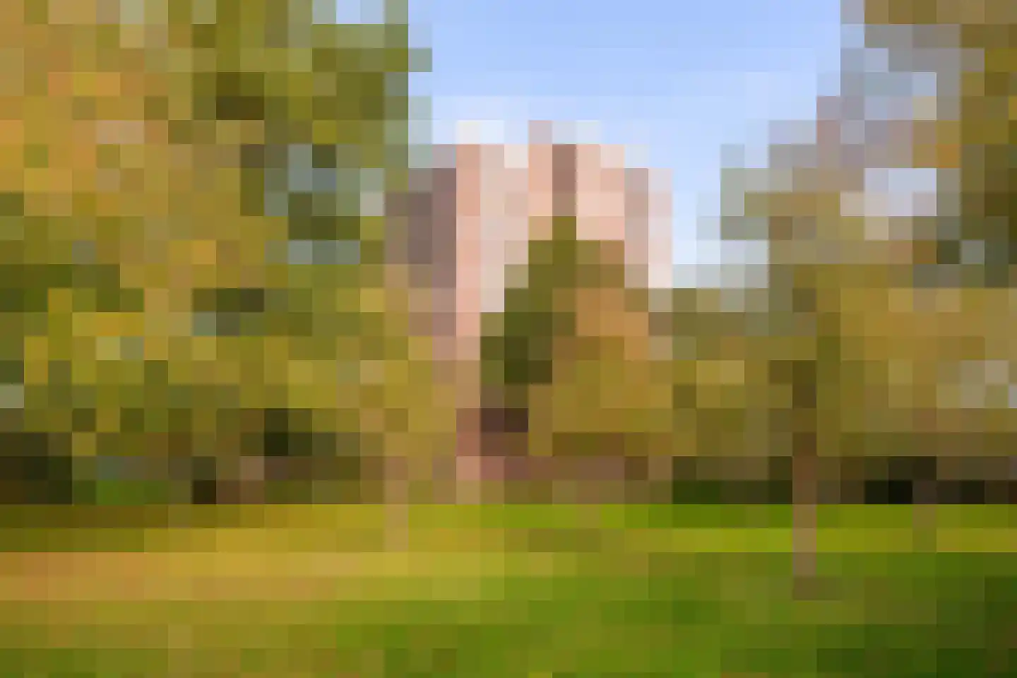 Evelindeflat 53 Roosendaal thumbnail 25