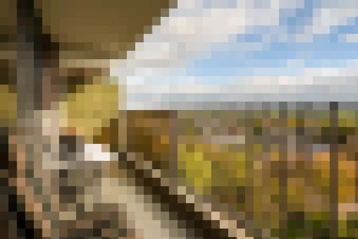 Evelindeflat 53 Roosendaal thumbnail 4