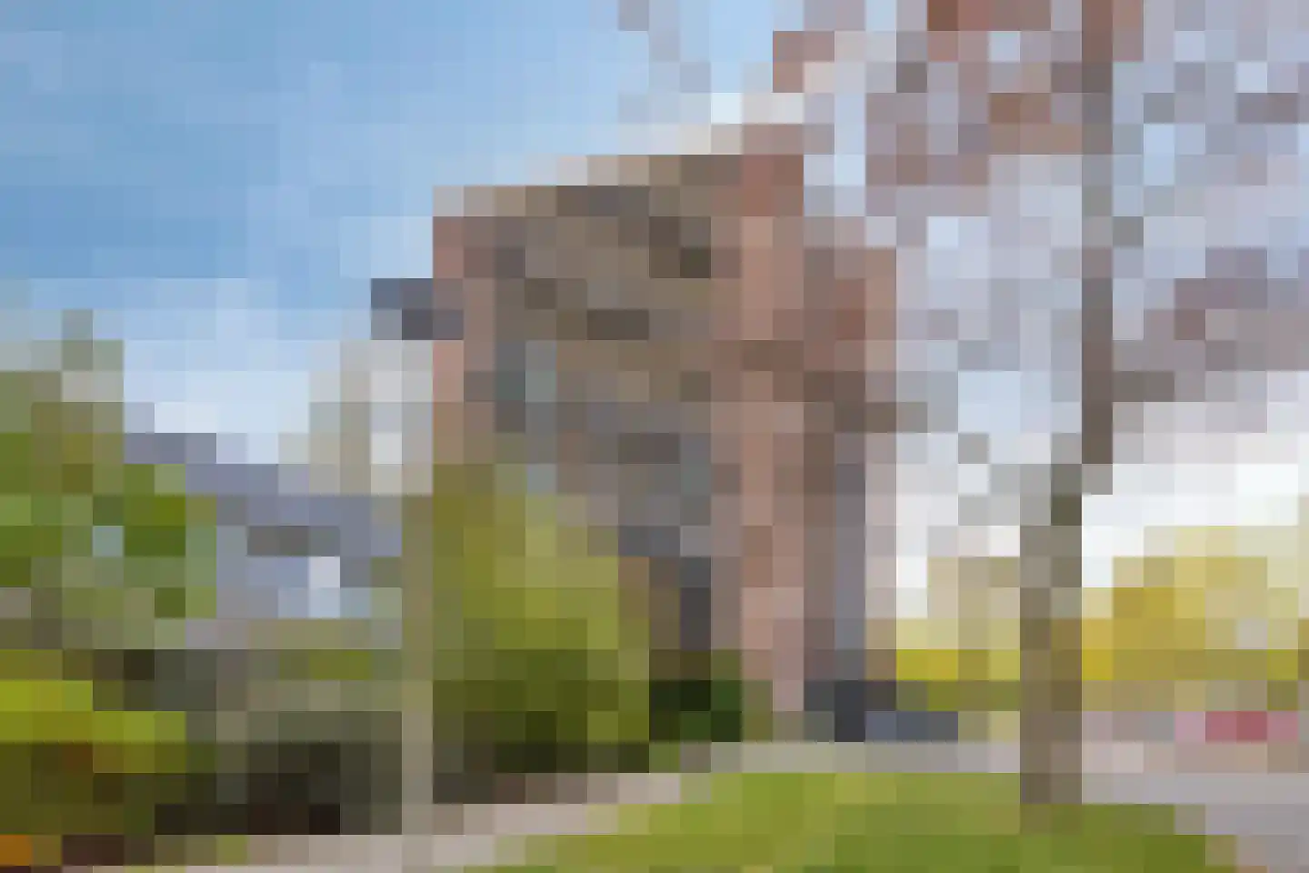Evelindeflat 61 Roosendaal