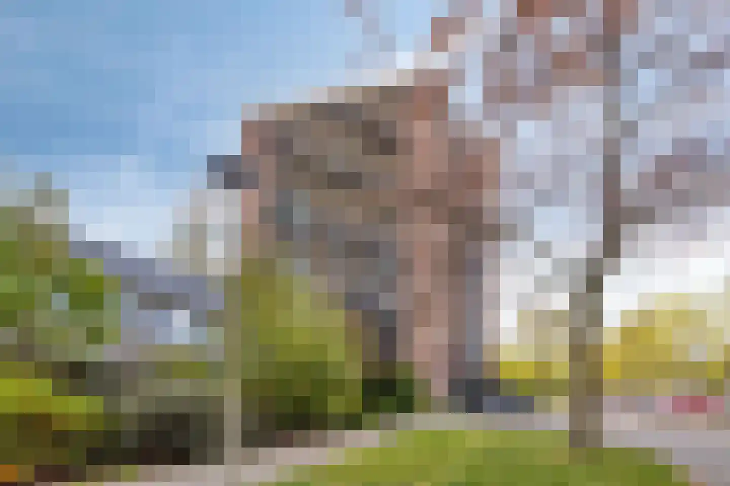 Evelindeflat 61 Roosendaal