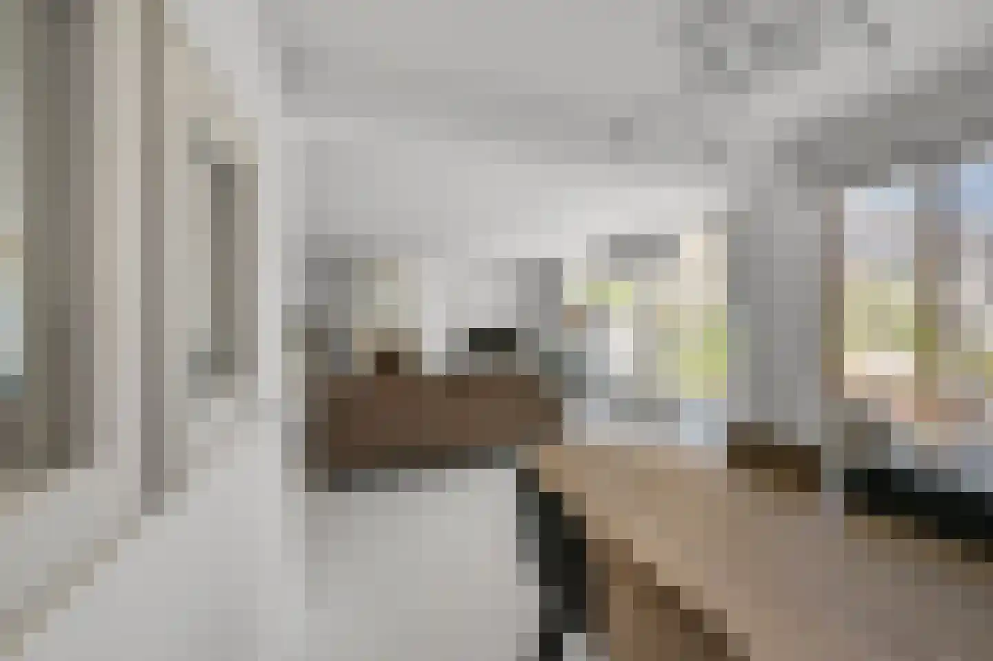Evenaar 13 Alphen aan den Rijn thumbnail 10