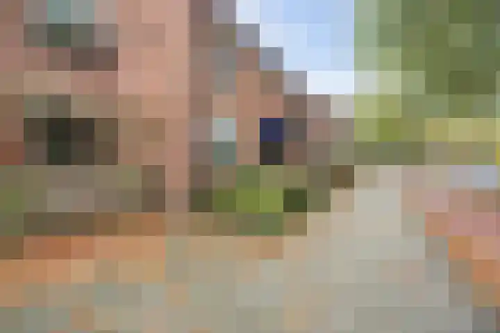 Evenaar 136 Rotterdam thumbnail 36