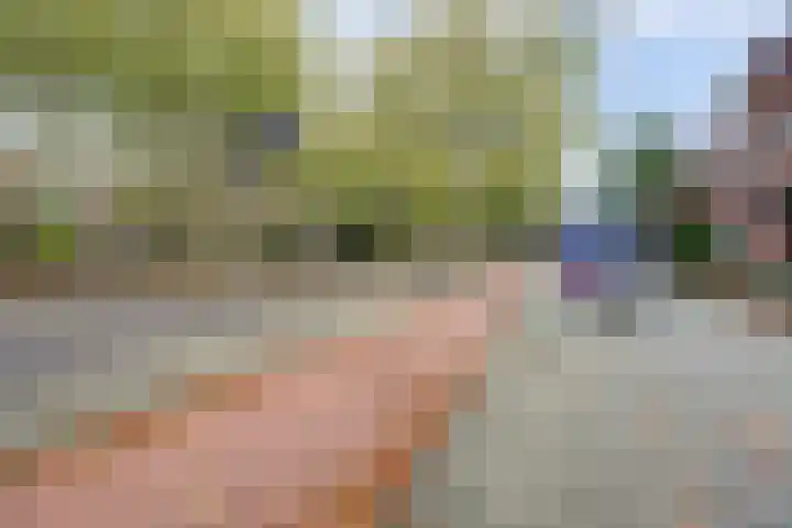 Evenaar 136 Rotterdam thumbnail 39