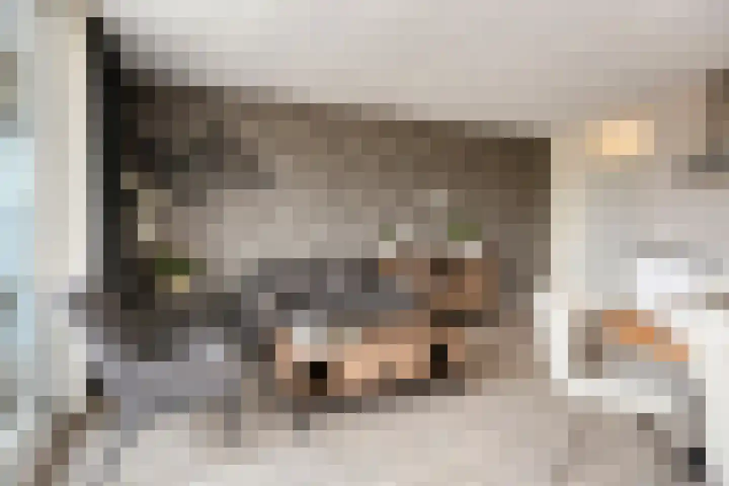 Evenaar 14 A Klazienaveen thumbnail 12