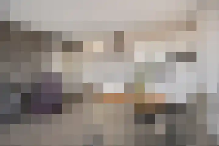 Evenaar 14 A Klazienaveen thumbnail 15