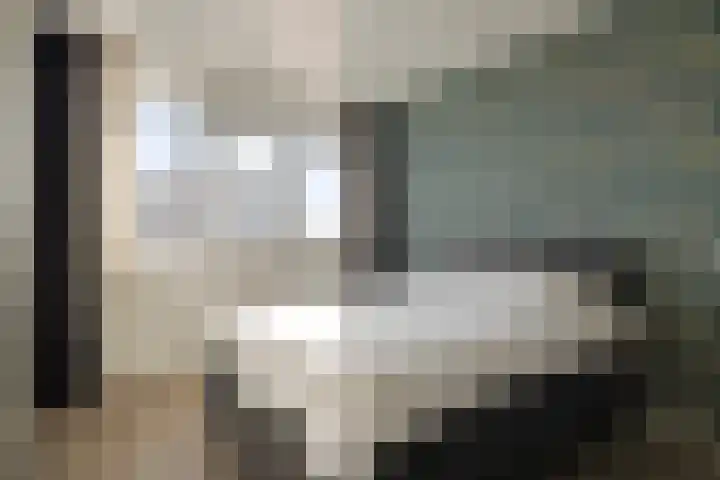 Evenaar 14 A Klazienaveen thumbnail 25