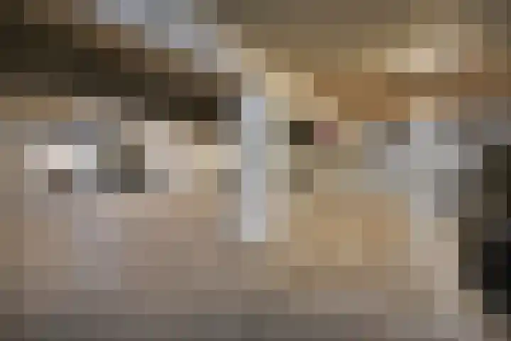 Evenaar 14 A Klazienaveen thumbnail 32