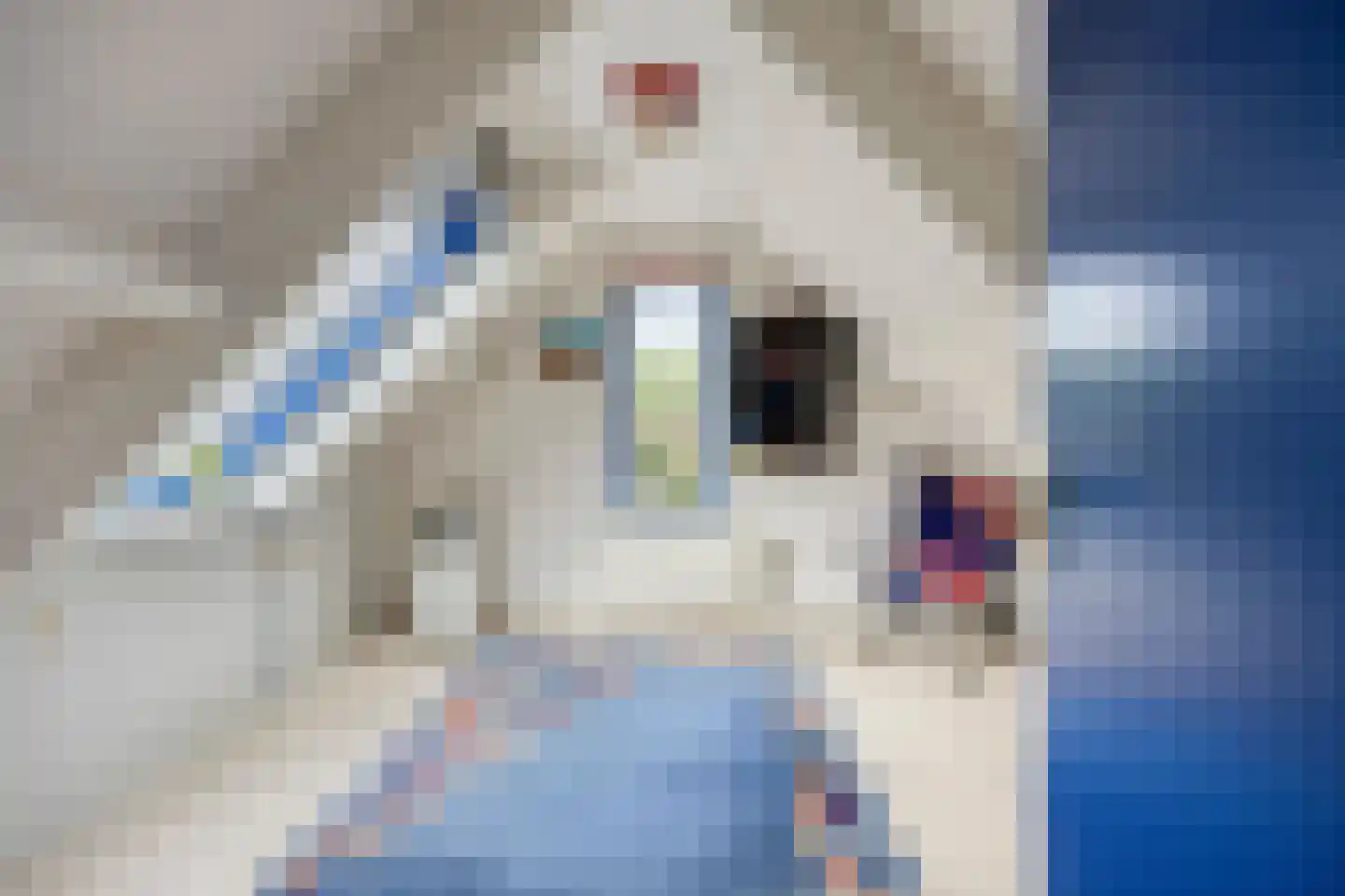 Evenaar 21 Rotterdam thumbnail 36